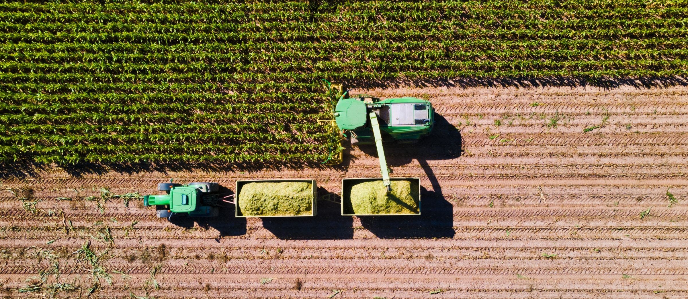 A bird's eye shot of a corn combine harvester with grain cart harvesting in a field that is halfway done.